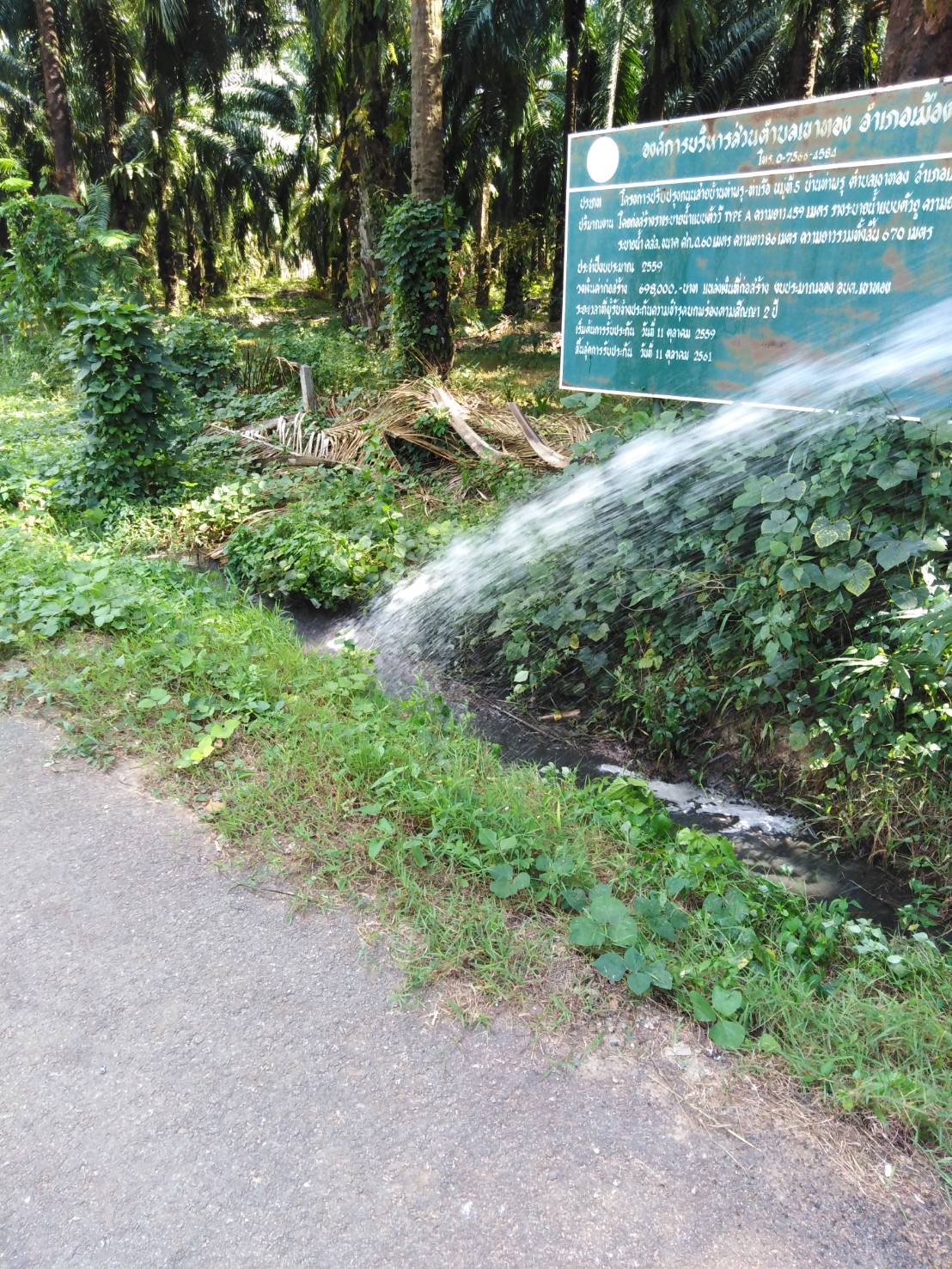 ลงพื้นที่บริการฉีดพ่นคูระบายน้ำบริเวณ หมู่ที่ 5