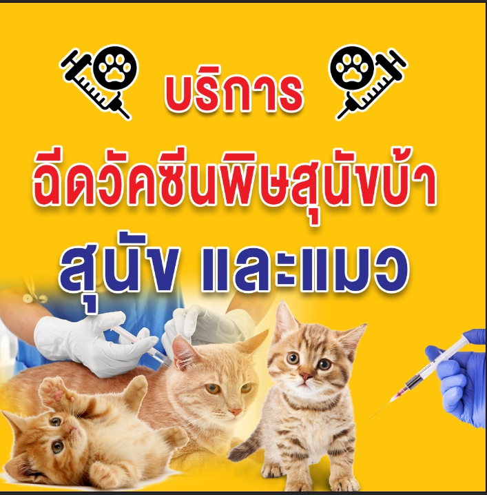 โครงการสัตว์ปลอดโรค คนปลอดภัย จากโรคพิษสุนัขบ้า  ประจำปีงบประมาณ พ.ศ.2565